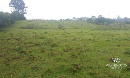 Terreno à venda, 41827 m² por R$ 9.000.000 - Colônia Murici - São José dos Pinhais/PR