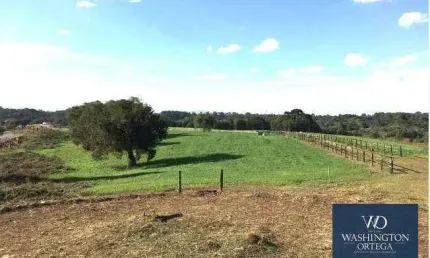 Área à venda, 20500 m² por R$ 2.665.000,00 - Campo Largo da Roseira - São José dos Pinhais/PR