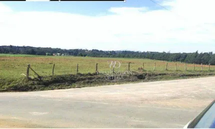Área à venda, 128000 m² por R$ 27.776.000,00 - Campo Largo da Roseira - São José dos Pinhais/PR