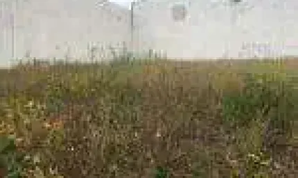 Terreno comercial para alugar na Rua Augusto Guerino, s/nº, Portal de Versalhes 1, Londrina