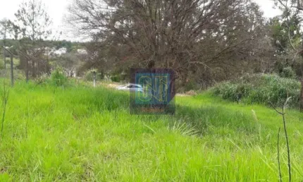 Chácara / sítio com 1 quarto à venda na Rua José Andreolli, 00, Parque Universidade, Londrina