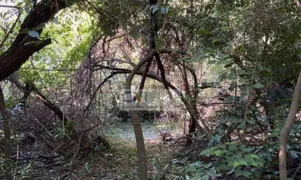 Chácara / sítio com 3 quartos à venda na Rodovia Mabio Gonçalves Palhano, 355, Gleba Fazenda Palhano, Londrina