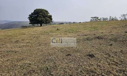 Chácara / sítio com 1 quarto à venda na Estrada Do Coquinho, S/N, Zona Rural, Ivaiporã