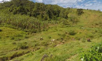 Fazenda à venda com 43 alqueires, Iguape - Guarapari ES