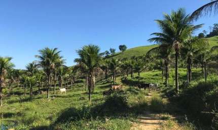 Chácara / sítio com 2 quartos à venda no Pau D'Oleo, Guarapari 
