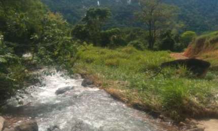 Chácara Á Venda na Zona Rural de São Miguel - Cabeça Quebrada - Guarapari-ES.