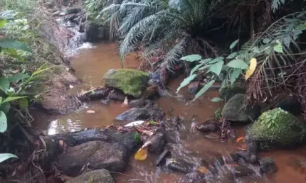 Chácara à venda com 6579 m² em todos os santos com córrego na divisa - guarapari es