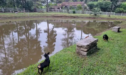 Chácara / sítio com 3 quartos à venda na Rua Dalei Pissaia, 000, Campina do Taquaral, São José dos Pinhais