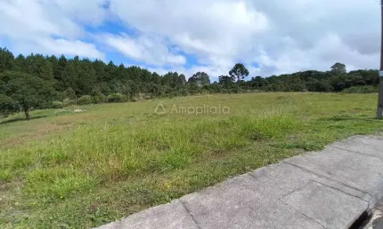 Terreno à venda na nilo favaro, 1000, centro, quatro barras por r$ 450.000