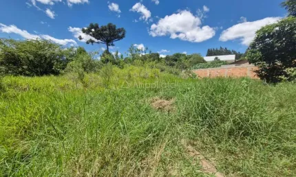 Terreno à venda na Rua Formosa do Oeste, 966, Rincão, Colombo por R$ 350.000
