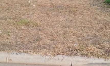 Terreno para venda em Jardim Casablanca de 167.00m²