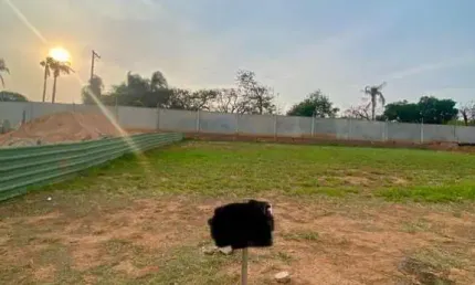 Terreno para venda em jardim residencial sapezal de 360.00m²