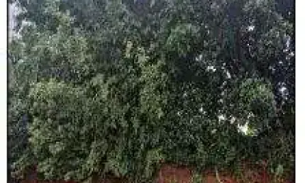 Oportunidade Única em LAJEADO - RS | Tipo: Terreno | Negociação: Leilão  | Situação: Imóvel