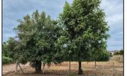 Oportunidade Única em ARROIO DO MEIO - RS | Tipo: Terreno | Negociação: Leilão  | Situação: Imóvel