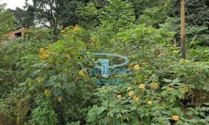 Terreno à venda, 250 m² por R$ 500.000,00 - Jardim Celeste - São Paulo/SP