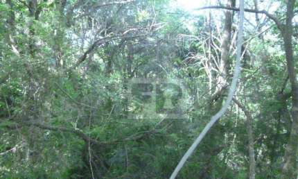Terreno à venda, 5155 m² por R$ 288.000,00 - Formosa - Alvorada/RS