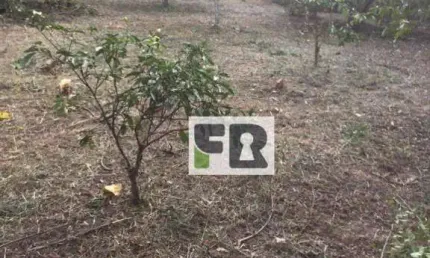 Terreno à venda, 2592 m² - Sitio São José - Viamão/RS