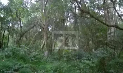 Terreno à venda, 300 m² por R$ 40.000,00 - Águas Claras - Viamão/RS