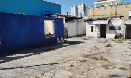Terreno para alugar, 250 m² por R$ 4.010/mês - Vila São Luís(Zona Oeste) - São Paulo/SP