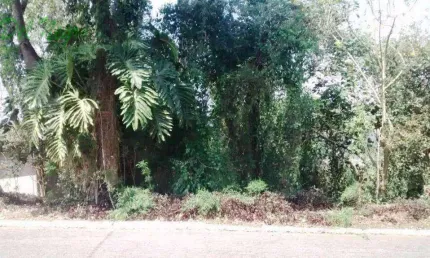 Terreno residencial à venda, 1000 m² - Forest Hills, Jandira.