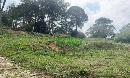Terreno residencial à venda, 704 m² - Vila de São Fernando, Granja Viana.