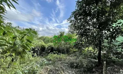 Terreno à venda na Rua São Vicente, Miolo da Granja, Cotia