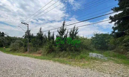 Área à venda dentro do paisagem renoir ii / iii, 4973 m² - granja viana.