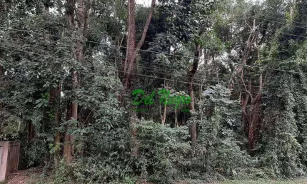 Terreno em condomínio fechado à venda na Alameda Imbaúba, Vila Verde, Itapevi