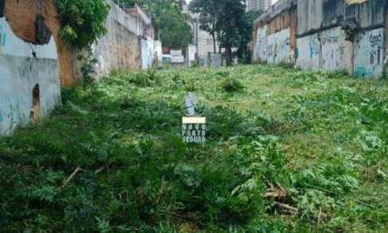 Terreno comercial à venda em Santana, São Paulo 