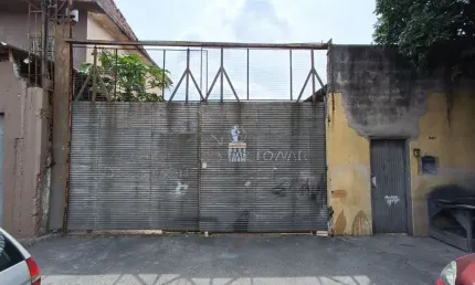 Terreno comercial para alugar no Parque Novo Mundo, São Paulo 