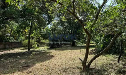 terreno à venda 2000M², Chácaras São Bento, Valinhos - SP