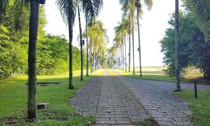 terreno à venda 20032M², Condomínio Reserva da Floresta, Campinas - SP | Condomínio Reserva da Flor