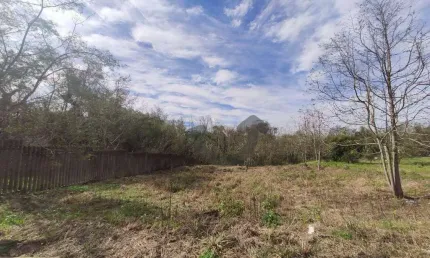 Terreno à venda com 12900 m² - João Alves - Santa Cruz do Sul/RS