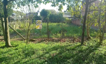 Terreno à venda, 558 m² por R$ 170.000,00 - Monte Verde - Santa Cruz do Sul/RS