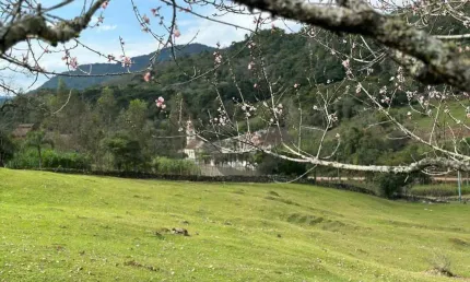 Chácara à venda, 458.720 m² por R$ 650.000 - Linha São João - Sinimbu/RS