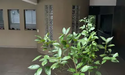 Excelente casa em condomínio para venda com 3 quartos, sendo 3 suítes, 370m²