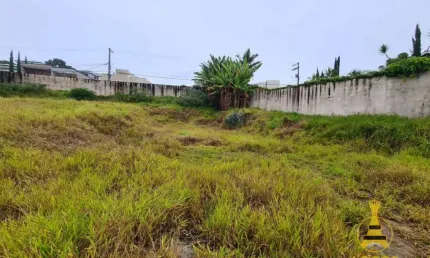 Terreno à venda, 392 m² por R$ 300.000,00 - Jardim Paulista - Atibaia/SP