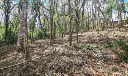 Terreno à venda no Jardim Cinco Lagos de Santa Maria, Mairiporã 