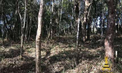 Terreno à venda, 1375 m² por R$ 220.000,00 - Pirucaia - Mairiporã/SP