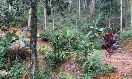 Chácara / sítio à venda na Estrada Comunidade de Boa Esperança, Buenos Aires, Guarapari