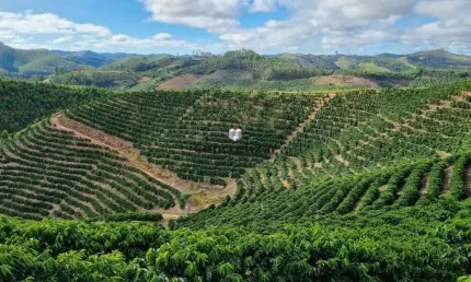 Terreno à venda na Arace, 1, Paraju, Domingos Martins
