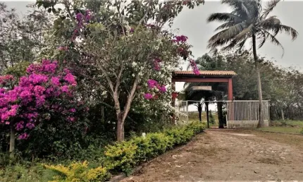 Sítio à venda com 201.000 m² em Meaípe, Guarapari-ES