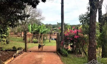 Chácara / sítio com 3 quartos à venda na Rua Vicente Poletti, Rui Barbosa, Londrina