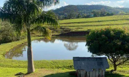 Haras com 4 dormitórios à venda, 208120 m² por R$ 3.950.000,00 - Contorno Norte - Ibiporã/PR