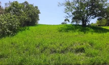 Terreno à venda no Terras de Itaici, Indaiatuba 