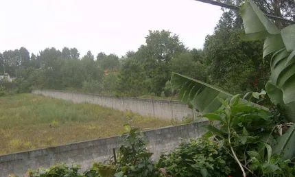 Terreno à venda, 1540 m² por R$ 2.900.000,00 - Granja Viana - Cotia/SP