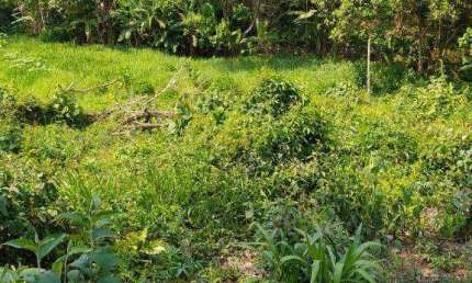 Terreno à venda, 1410 m² por R$ 200.000,00 - Jardim Nova Cotia - Itapevi/SP
