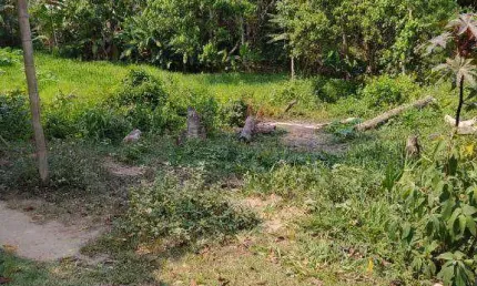 Terreno à venda na Rua Periquito, Jardim Nova Cotia, Itapevi