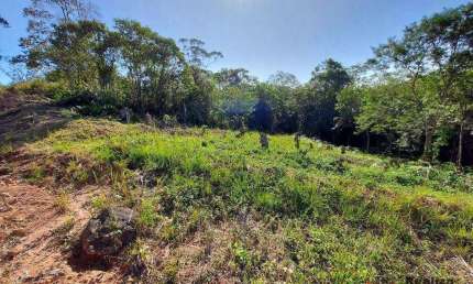 Terreno à venda, 501 m² por R$ 169.106,29 - Caucaia do Alto - Cotia/SP