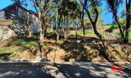 Terreno em condomínio fechado à venda na Rua Madeira, Granja Carneiro Viana, Cotia